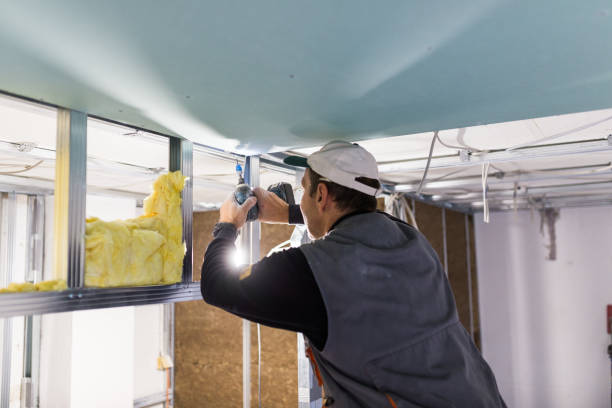 Best Geographic-Specific Insulation Services in Wortham, TX