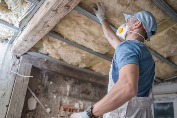Best Eco-Friendly Insulation in Wortham, TX