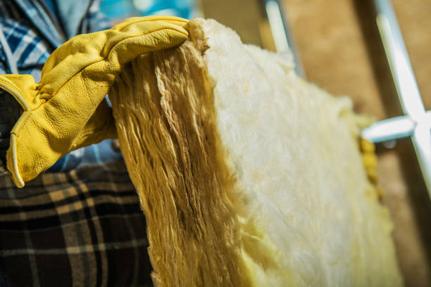 Best Specialized Insulation Services in Wortham, TX
