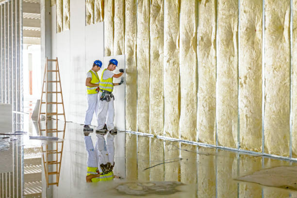 Best Fiberglass Insulation in Wortham, TX